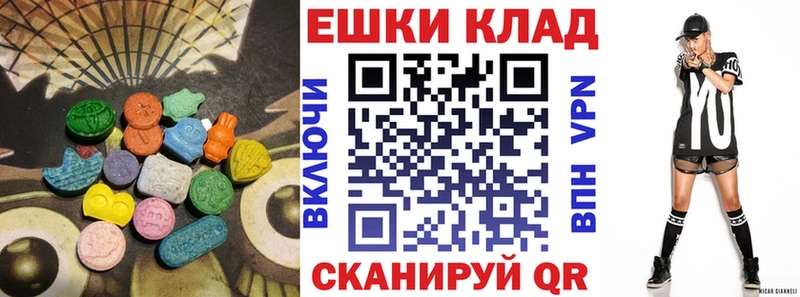 hydra как зайти  Кингисепп  Ecstasy TESLA  цены наркотик 