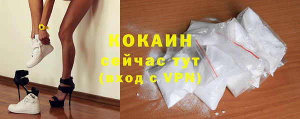 стаф Коряжма