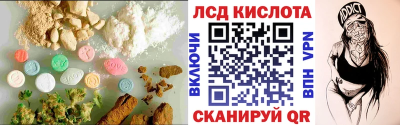как найти закладки  Кингисепп  LSD-25 экстази кислота 
