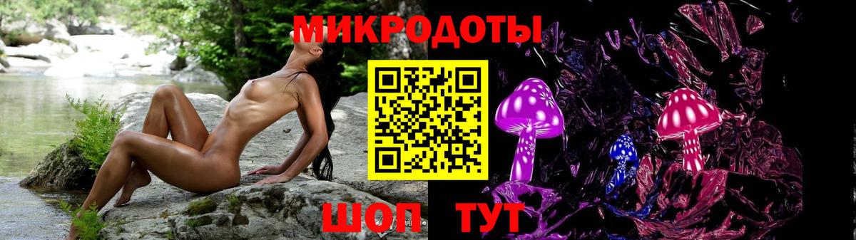 Галлюциногенные грибы Cubensis Кингисепп