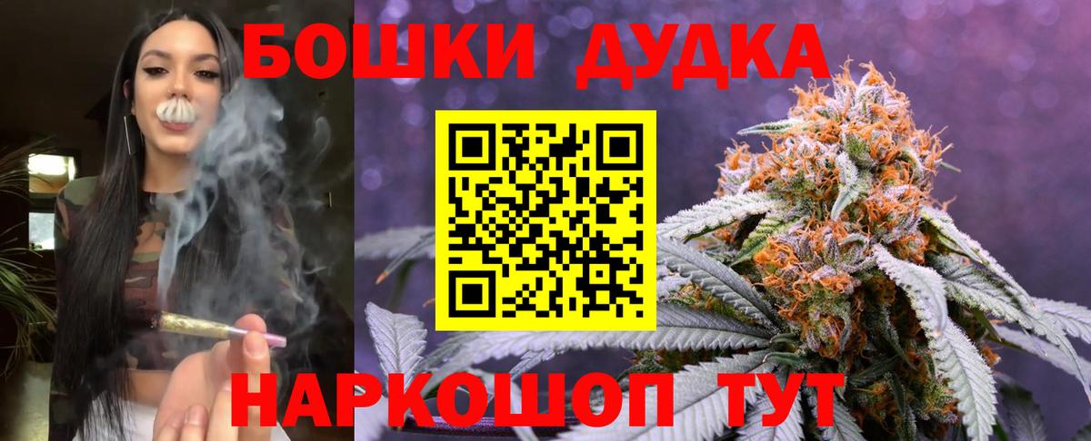Кингисепп  МАРИХУАНА план  Вход с VPN  Конопля планчик  Каннабис Bruce Banner  Бошки марихуана ГИДРОПОН 